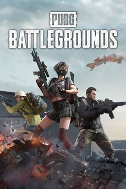 배틀그라운드 (PUBG)